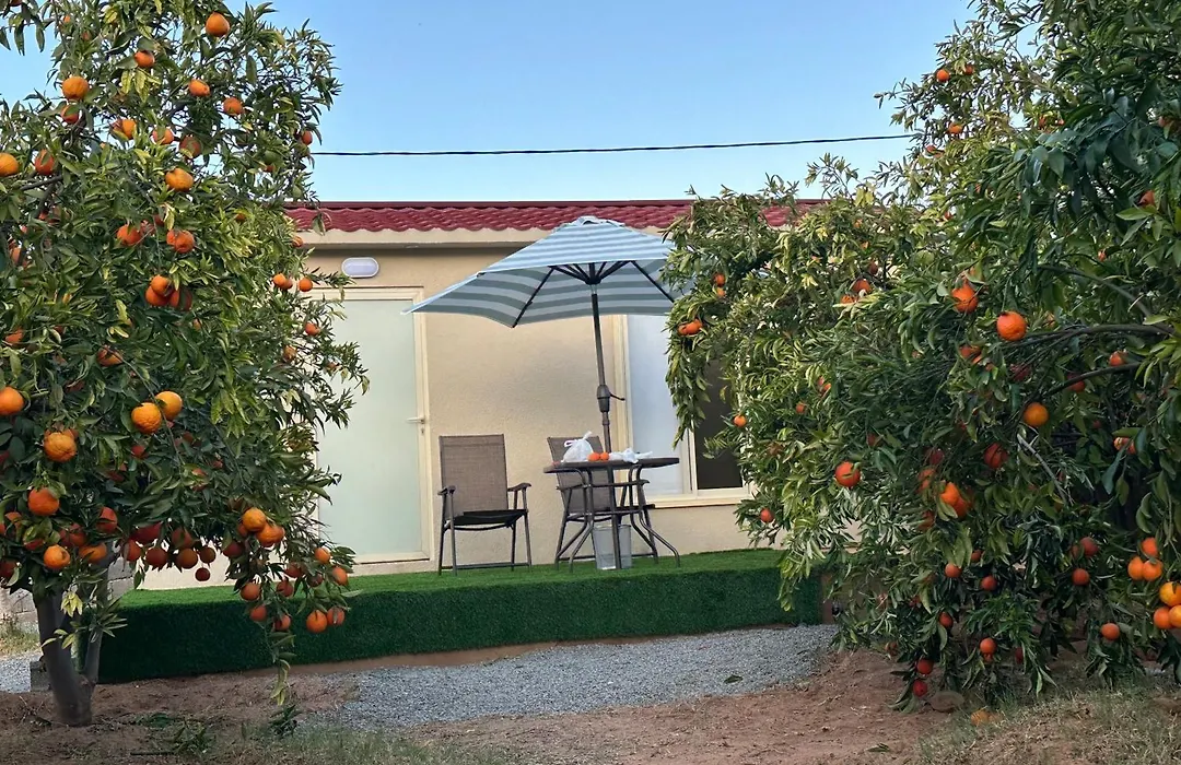 Naseem ,S Country نزل النسيم الريفيHouse-1