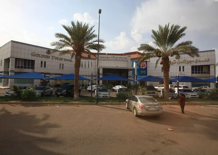 جولدن توليب