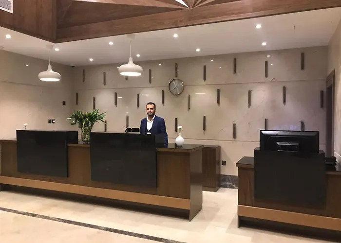 Ion Hotel